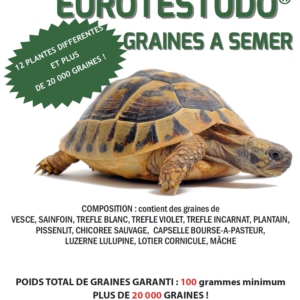 graines de tortue