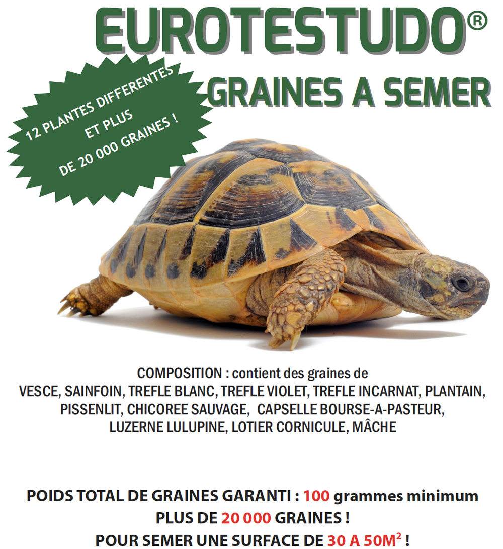 SEMER LES GRAINES POUR TORTUE DE TERRE - Tortue de terre info